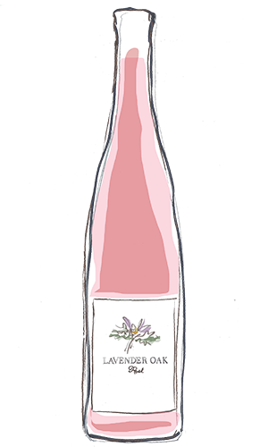 Rose wine bottle illustration