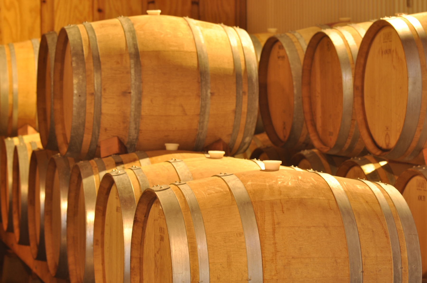 Wine barrels at LOV
